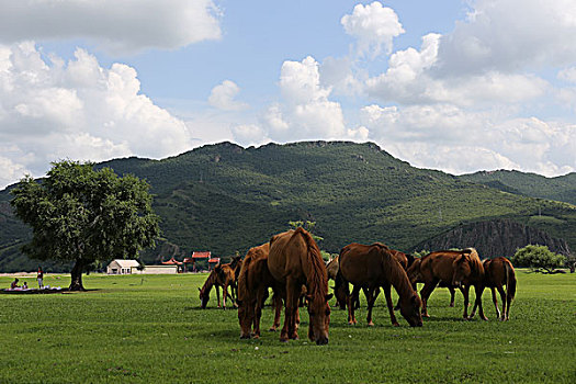 du doan kqxs khanh hoa