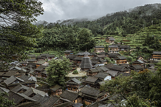 soi cau rong bach kim 88