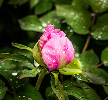 cách chơi lô đề có lãi