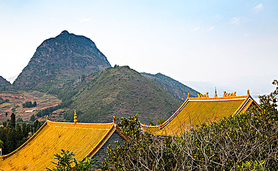 gà đá bình định