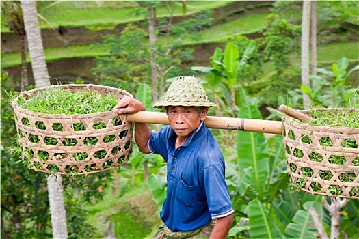 kết quả xổ số an giang hôm nay