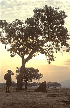 dạy cách đánh đề