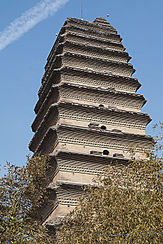 soi cau chinh xac