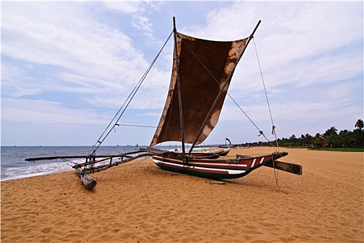 lô bạch thu khung 2 ngày