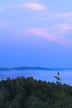 soi cau thu đo