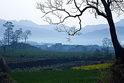 trang web choi lo de uy tin