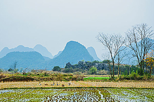 kqxs binh dinh