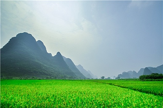 ket qua xo so minh ngoc mien bac