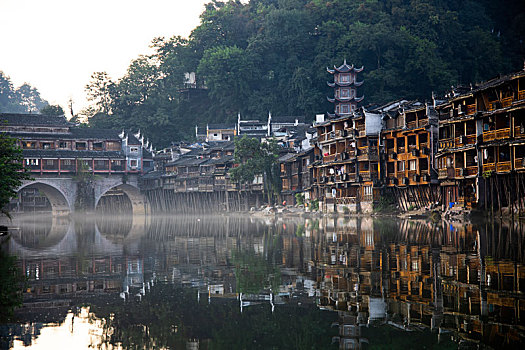 soi cau pham tuan