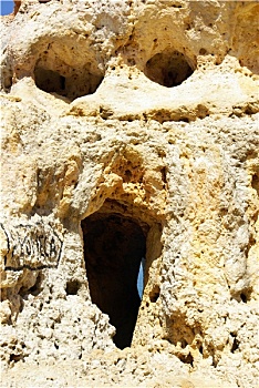 forum webxoso net
