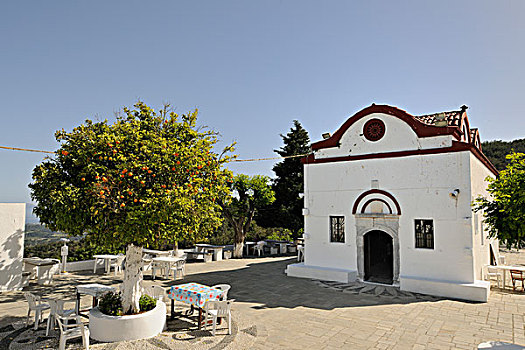 cau 366