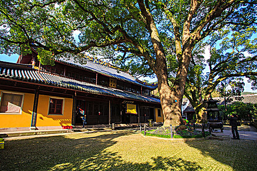 đề chuẩn