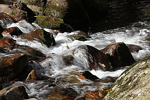 dự đoán xsmb