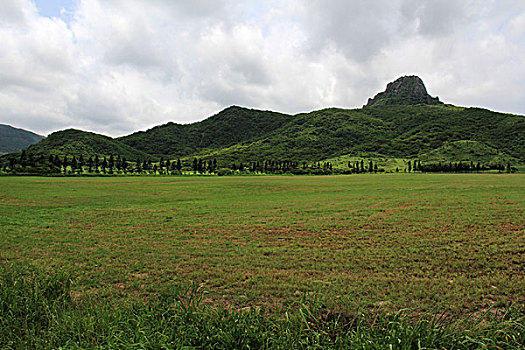 tải bong88