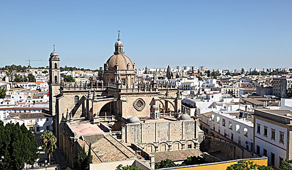 lo de 799