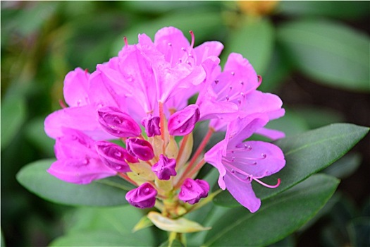 soi cau xsmb chinh xac mien phi hom nay