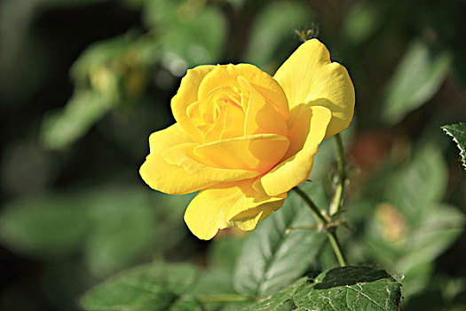 xổ số ngày hôm nay