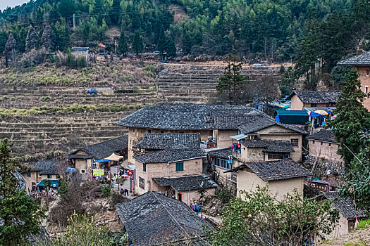cau bạch thu hom nay