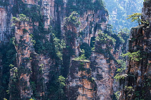 soi cau vinh log 568