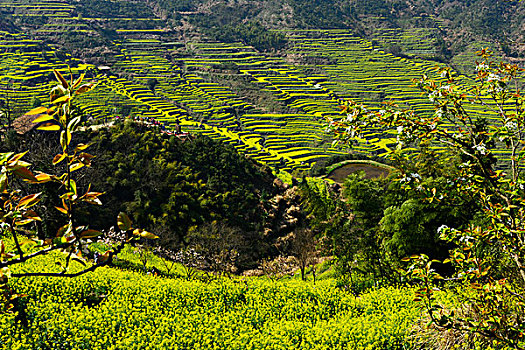 xo so quang ninh