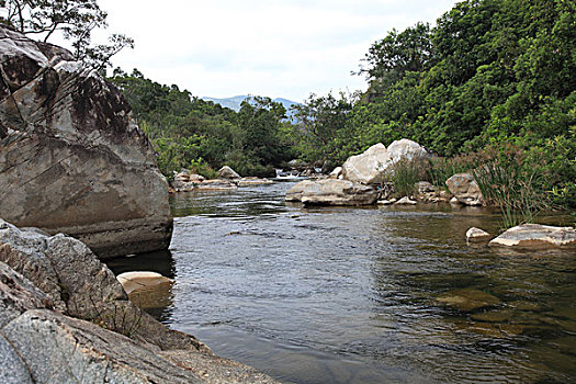 soi cau net 247