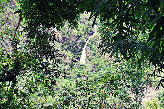 soi cau bach thu 888 hom nay