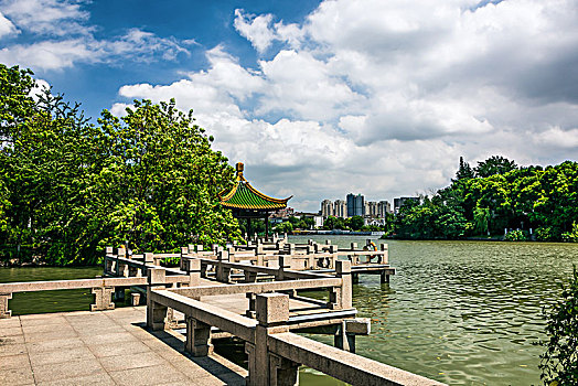 soi cau lo bach thu rong bach kim