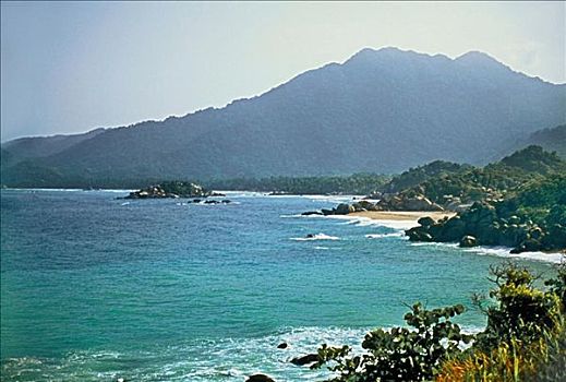 bach thu de