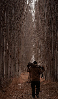 3 càng miễn phí