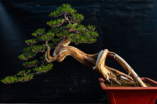 thống kê giải đặc biệt