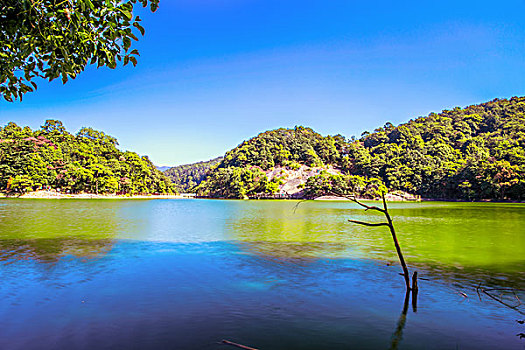 soi cau lô