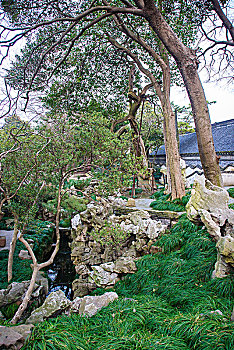 cau lo khung 2 ngay