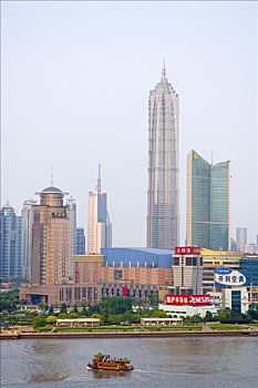 soi bach thu lo hom nay