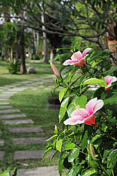 bạch thủ đề ngày hôm nay