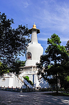 rong bach kim