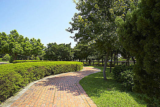 cau bach thu mien bac