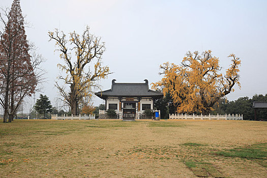 soi cầu lô