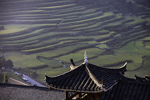 dự đoán