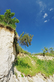 lo khung rong bach kim