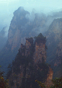 cau lo rong bach kim