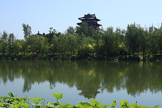 xổ số chấm nét