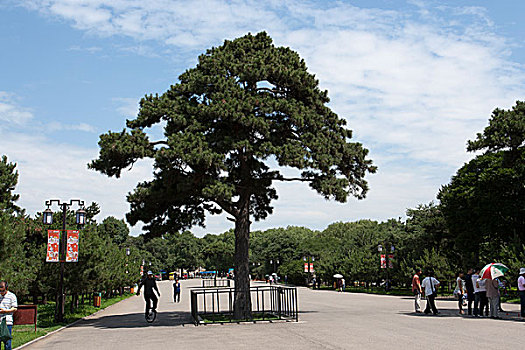 xổ số đài bắc