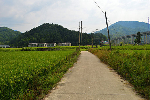 xs quảng bình