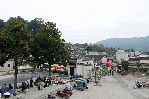 soi cau bach thu xsmb