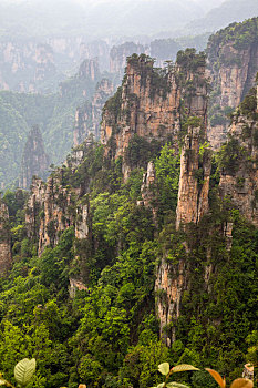 tỷ lệ ăn lô