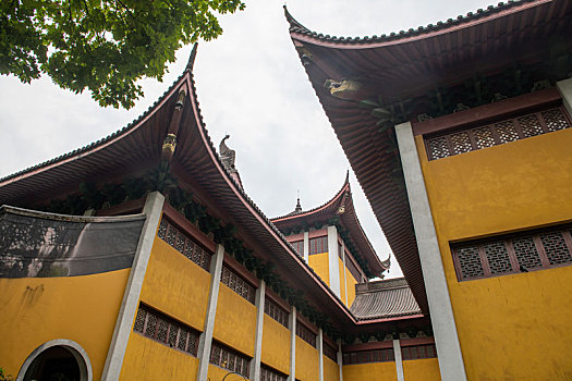 soi cau mien bac 3s