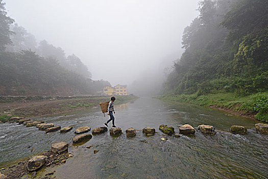 soi cau mien bac bach thu