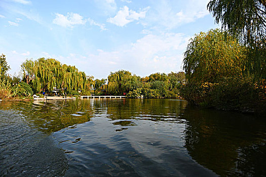 soi gio vang
