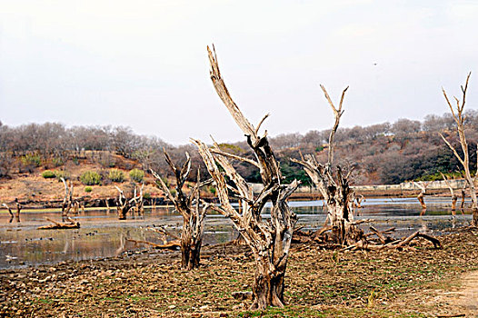 xsmn chủ nhật