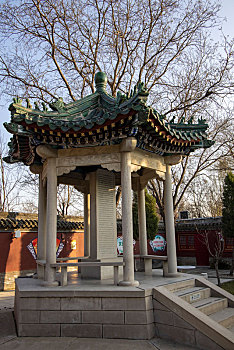 lô bạch thủ khung 5 ngày